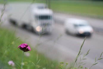 Inquinamento, Parlamento Ue: nuovi limiti su emissioni gas serra di auto e furgoni