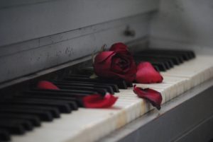 pianoforte e rose