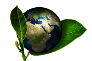 Ambiente, il 22 aprile si celebra la Giornata Mondiale della Terra