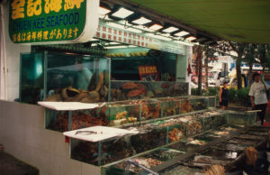 Hong Kong ©-Meg-Gawler-WWF