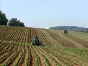 Sistemi alimentari, 16 azioni strategiche per uno sviluppo sostenibile