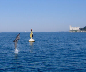 mediterraneo miramare