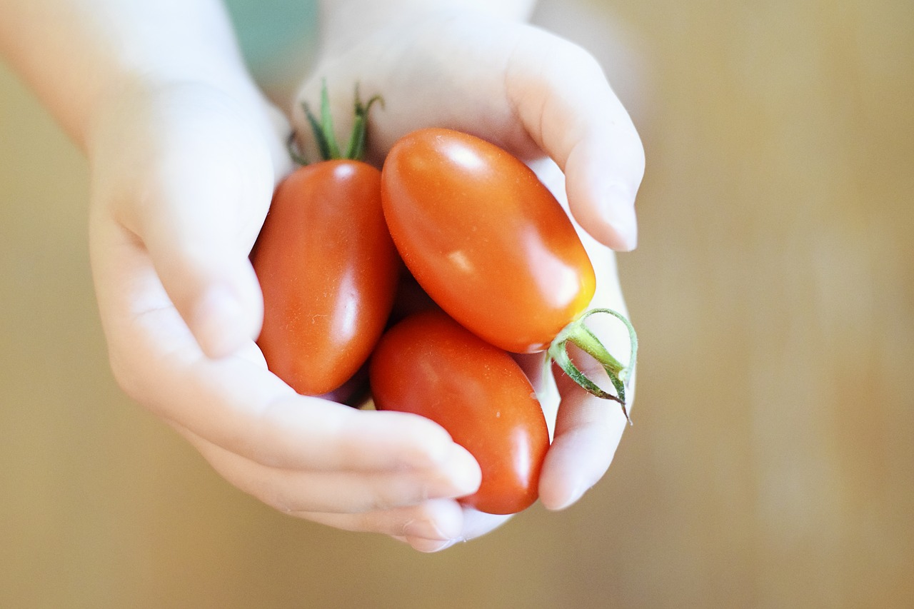 Agroecologia
