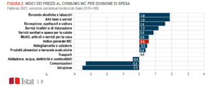 istat prezzi al consumo
