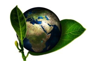 agire per la terra