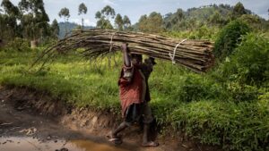 Lavoro minorile, il numero di bambini sale a 160 milioni (Fonte: UNICEF)