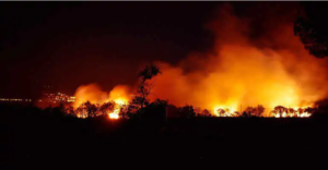 Incendio in Sardegna, Legambiente: agire su prevenzione e controlli