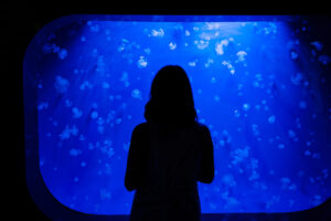 Colori e persone di Slow Fish 2021 Alessandro Vargiu / Archivio Slow Food