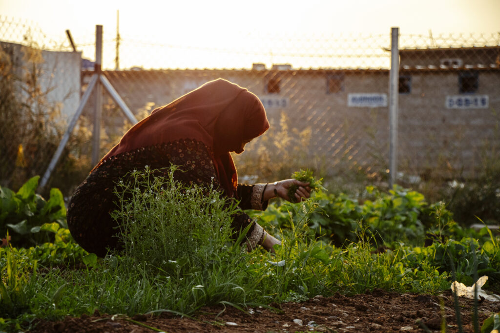 Indice Globale della Fame (Qushtapa Refugee camp_CESVI)