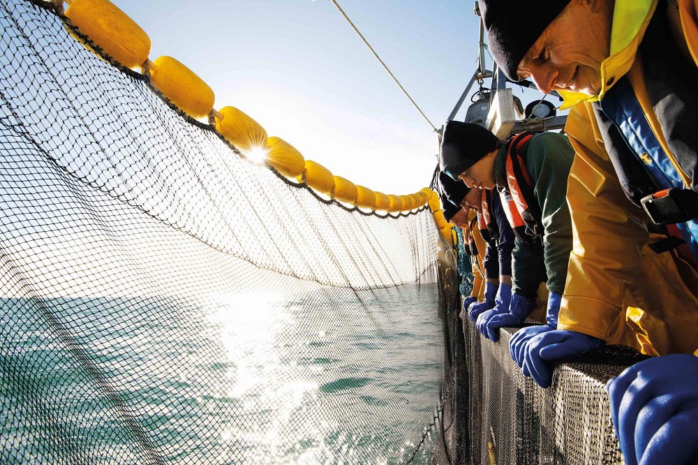 Sostenibilità ittica, cresce la tendenza verso la pesca e i consumi responsabili (Fonte: MSC)