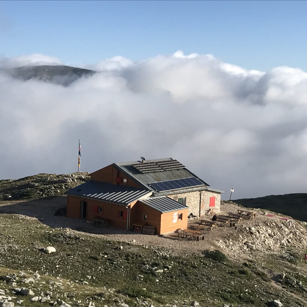 Alleva la speranza - Elena Saggioro Rifugio Sebastiani