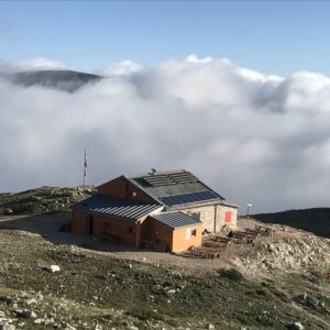 Alleva la speranza - Elena Saggioro Rifugio Sebastiani