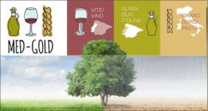 progetto med gold