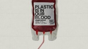 plastic in our blood