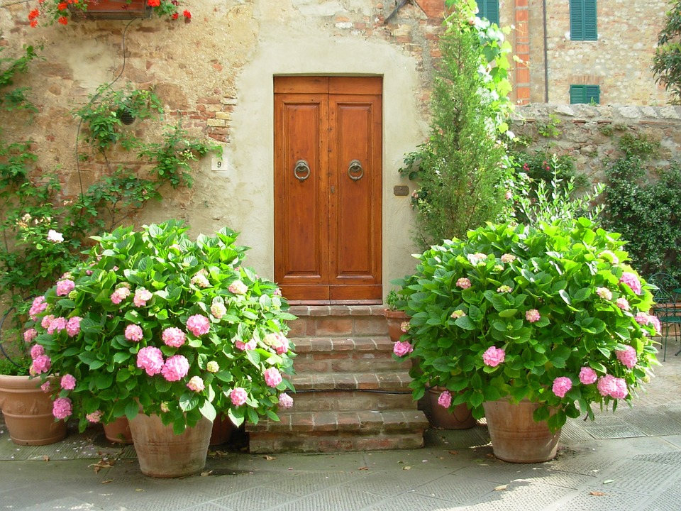 porta e fiori