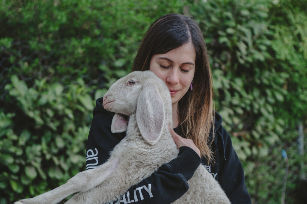 salva un agnello animal equality