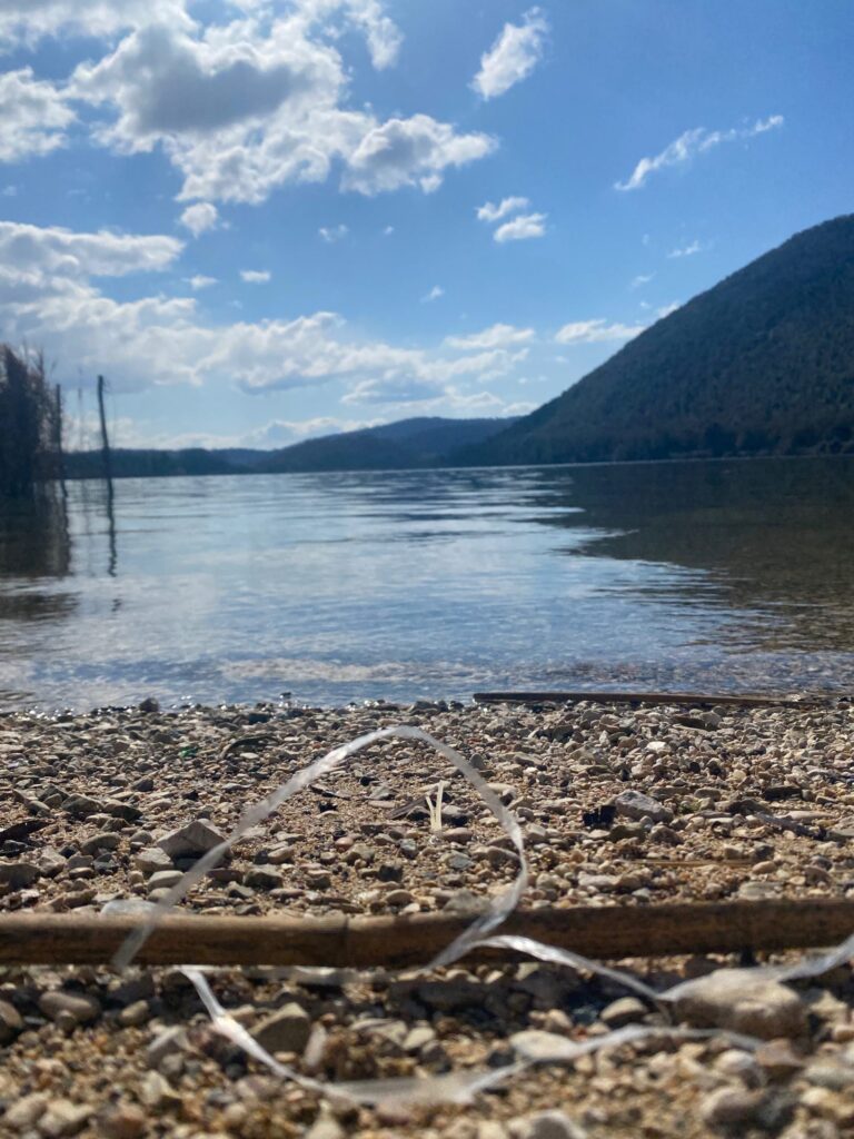 Tutela dei laghi, Legambiente premia le classi vincitrici del contest Blue Lakes