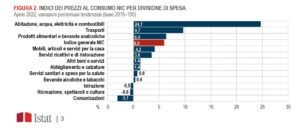 istat prezzi al consumo