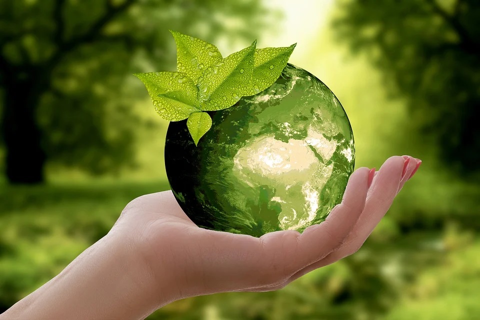 natura