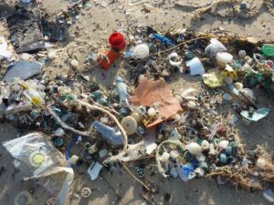 Emergenza microplastiche: gli studi di ENEA con Cnr, Goletta dei Laghi e Legambiente