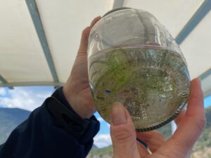Microplastiche nei laghi (Fonte: LIFE Blue Lakes)
