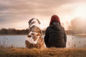 giornata del cane