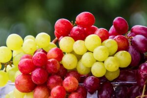 FederBio: il biologico come strumento di crescita di consumi alimentari più consapevoli