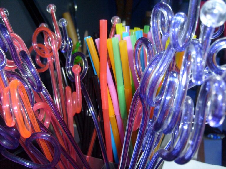 Plastica monouso, la Commissione UE interviene per ridurre i rifiuti