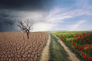 climathon