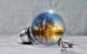 Energia, il Parlamento UE punta al risparmio energetico e all’incremento delle rinnovabili