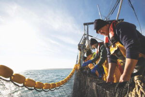 Pesca sostenibile, MSC: in Italia aumenta il volume di prodotti ittici certificati sostenibili
