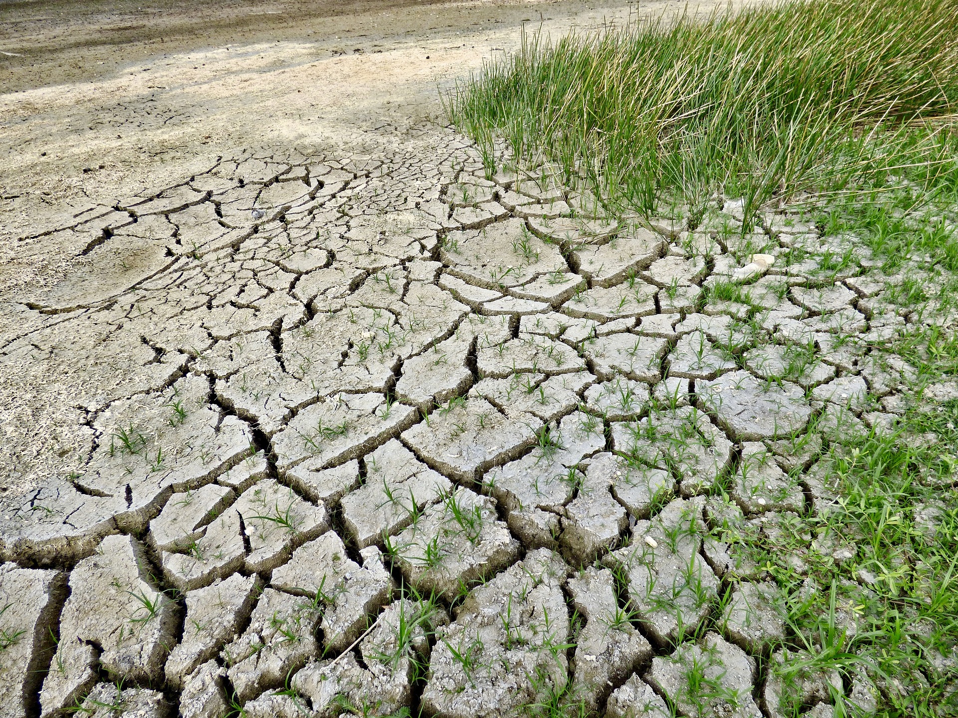https://pixabay.com/it/photos/cambiamento-climatico-siccit%c3%a0-clima-2241061/