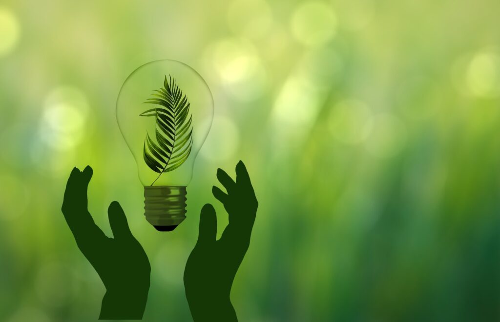 M'illumino di meno, oggi l'iniziativa dedicata al risparmio energetico
