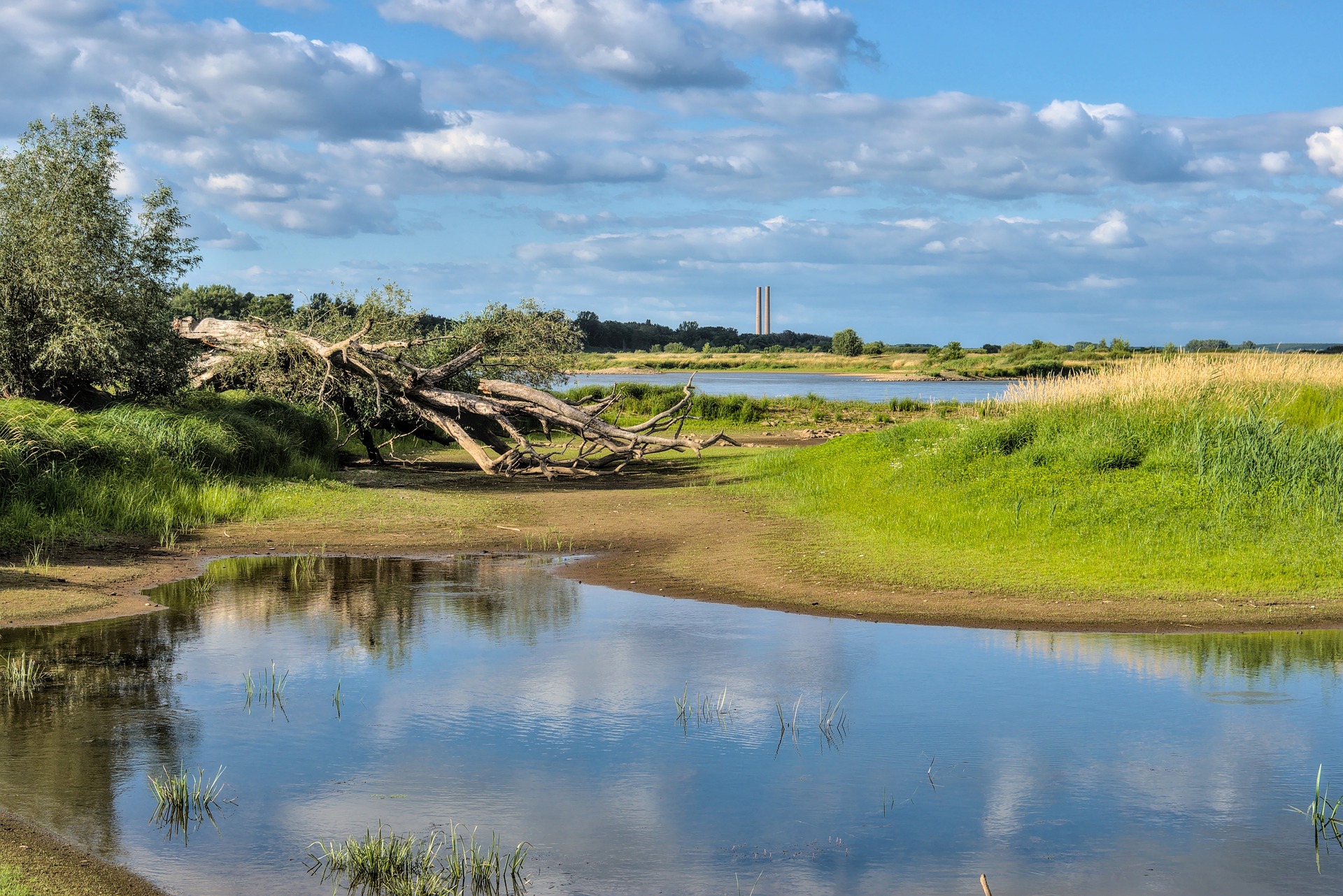 https://pixabay.com/it/photos/flusso-acqua-bassa-acqua-erba-7320691/