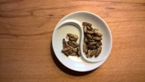 Cibo a base di insetti, in arrivo i decreti per una chiara etichettatura dei prodotti