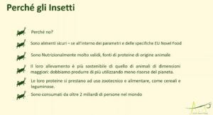 Perché gli insetti (Fonte: presentazione Alia Insect Farm)