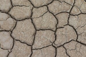 In Europa caldo estremo e siccità: il rapporto sullo stato europeo del clima nel 2022