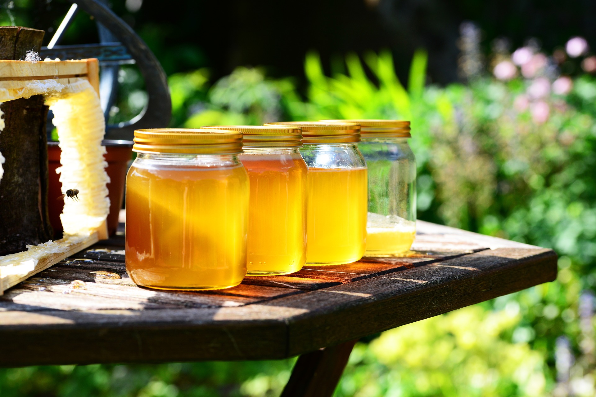 https://pixabay.com/it/photos/miele-barattoli-raccolto-api-352205/