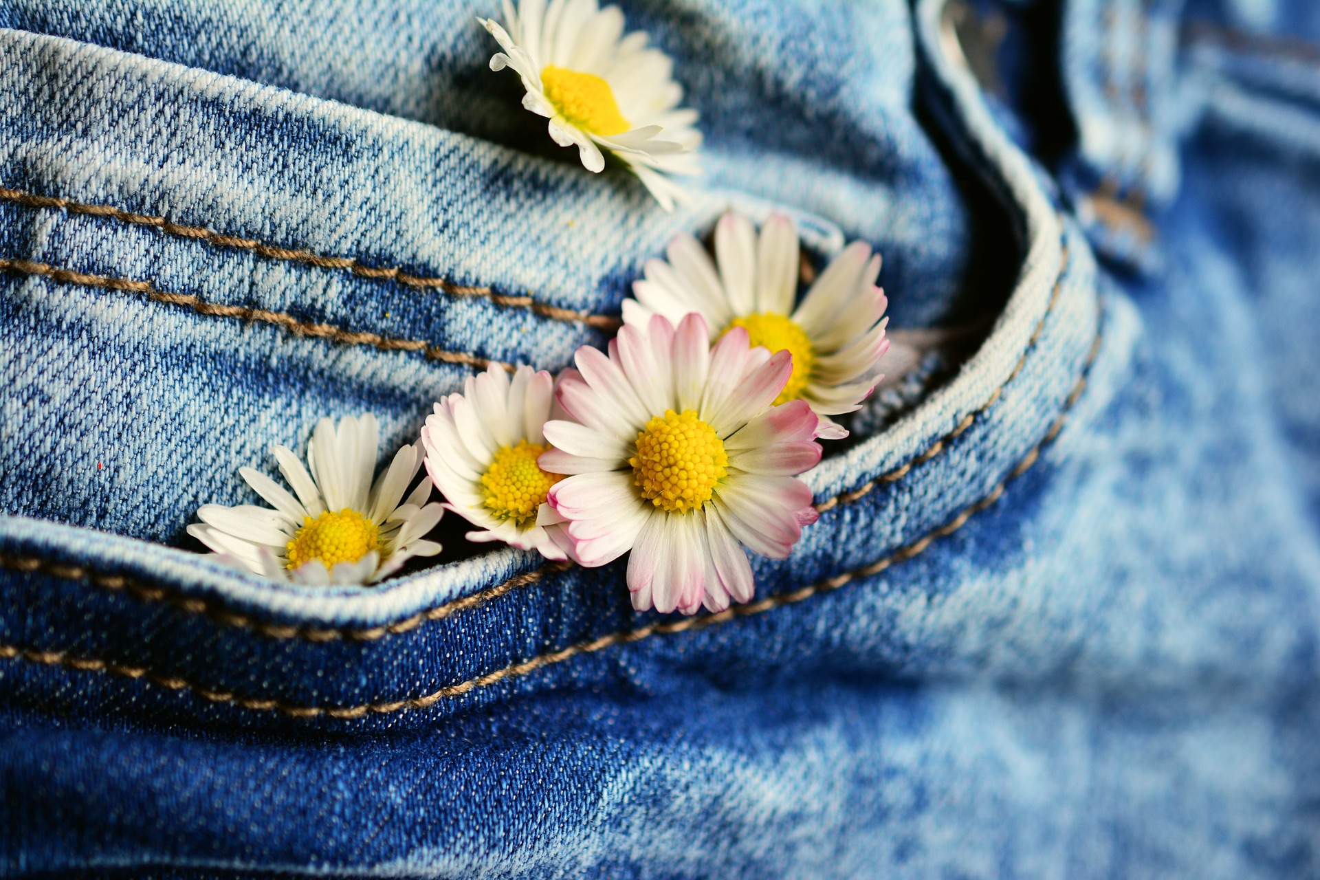 https://pixabay.com/it/photos/tasca-margherita-jeans-fiore-2324242/