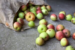 Crisi alimentari, nel 2022 sono 258 milioni le persone in stato di insicurezza alimentare in 58 Paesi