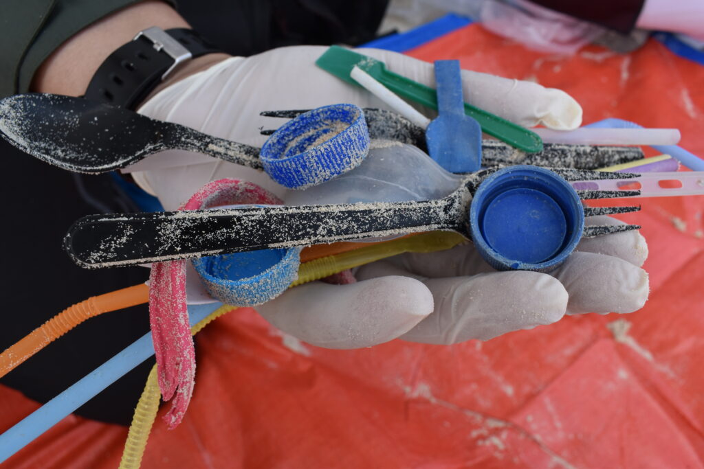 plastica monouso