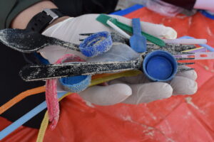 plastica monouso