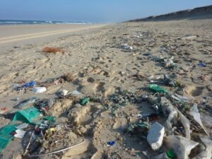 Mare Monstrum, Legambiente: 13.229 le infrazioni contestate nel 2022