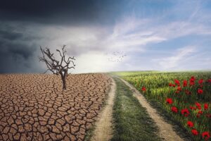 Clima, ASviS: l’Italia a 2°C di riscaldamento è in ritardo sulle politiche di mitigazione