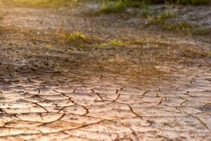 Crisi idrica, Oxfam: impatto devastante su aree sempre più vaste e vulnerabili