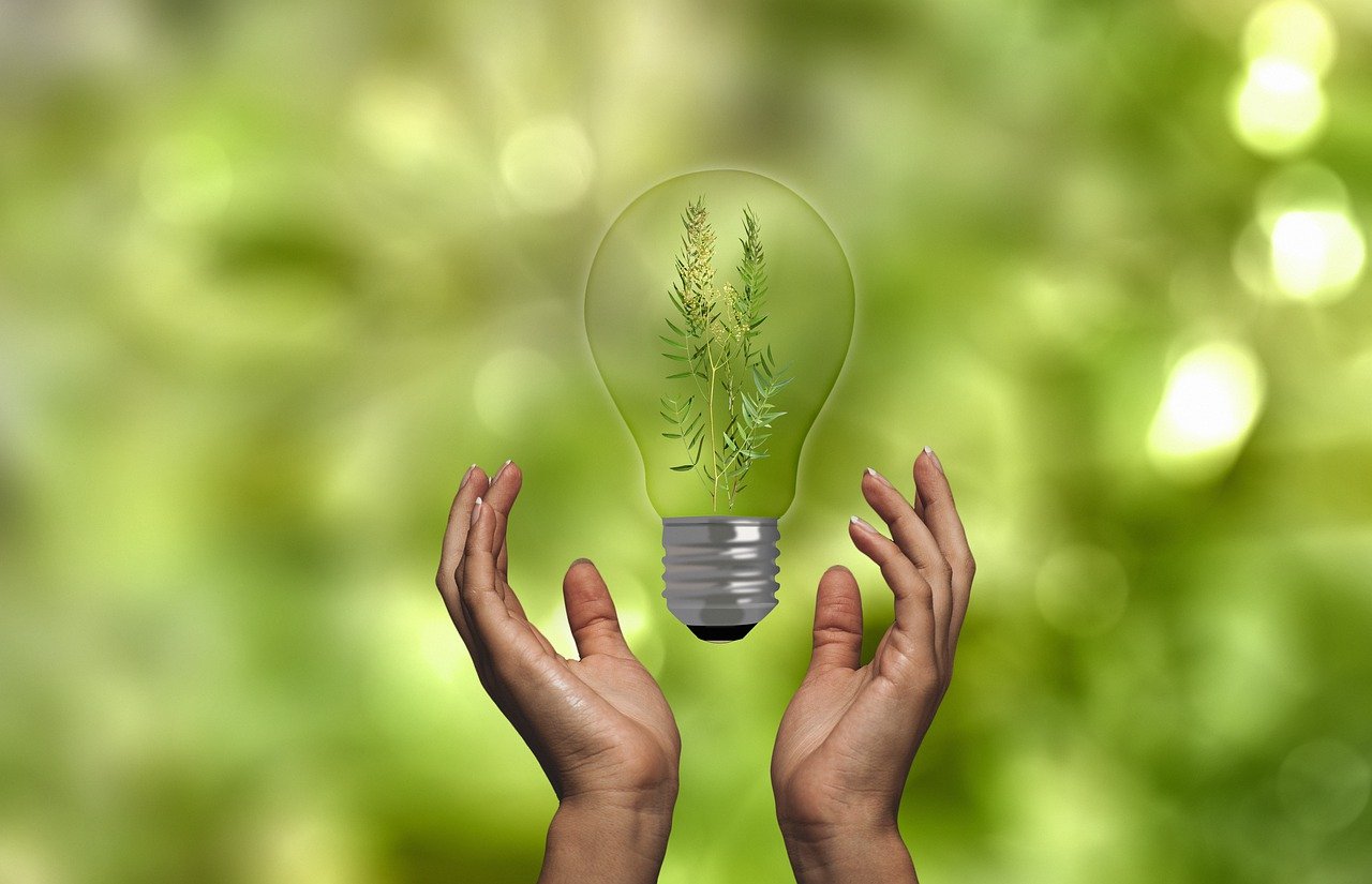 https://pixabay.com/it/illustrations/risparmio-energetico-7462465/
