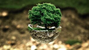 Clean Air Day, Legambiente: migliorare la qualità dell'aria per tutelare cittadini e ambiente
