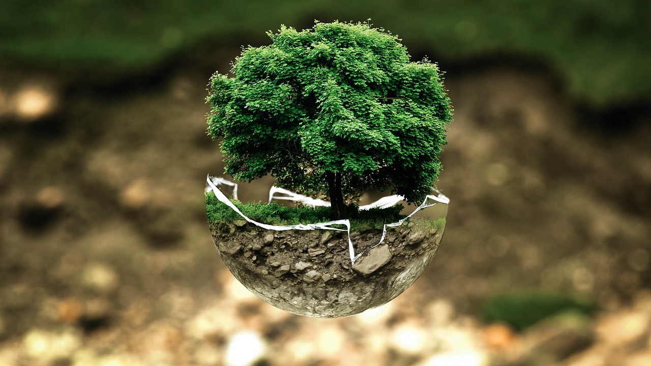 Clean Air Day, Legambiente: migliorare la qualità dell'aria per tutelare cittadini e ambiente