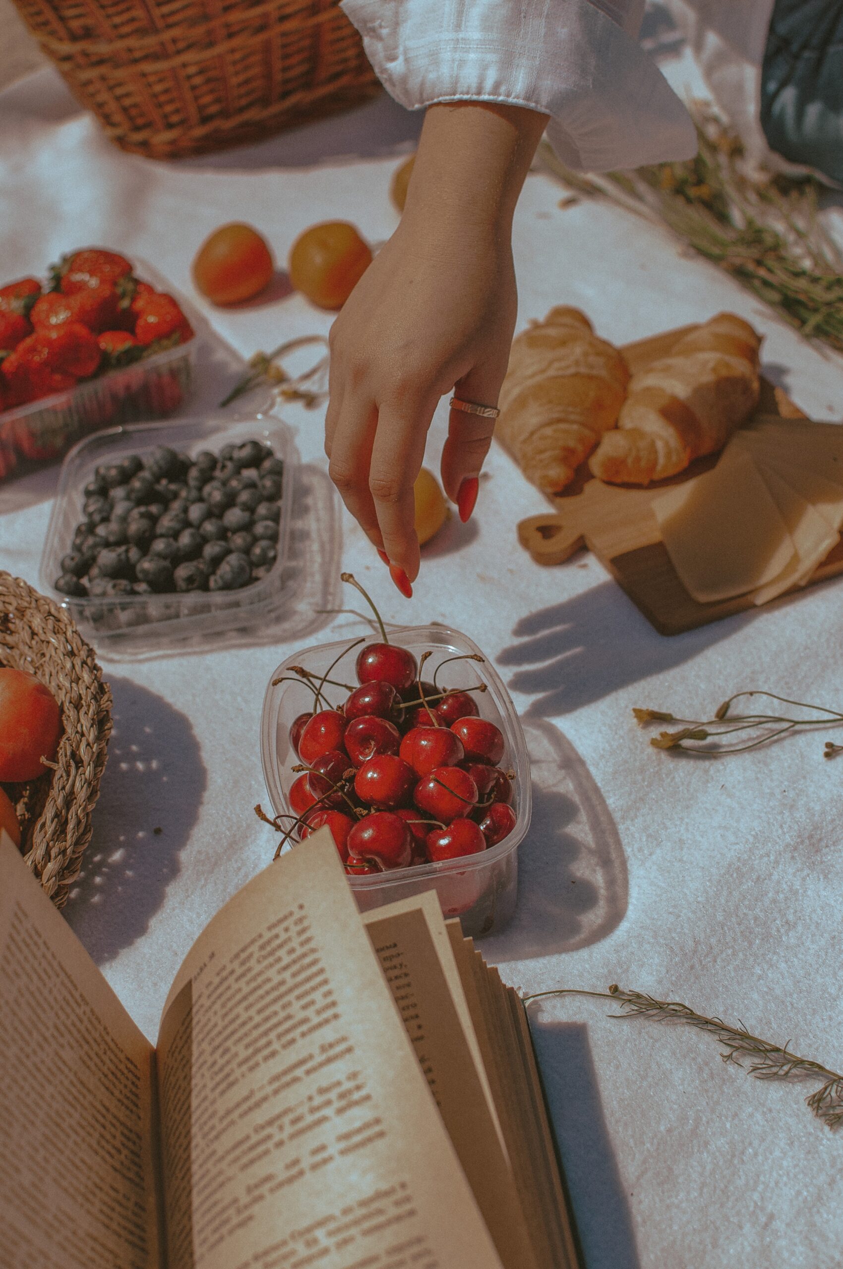 https://www.pexels.com/it-it/foto/pane-cibo-persona-mano-8076749/