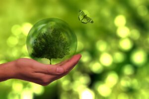 Transizione ecologica, 11 proposte dagli Stati Generali della Green Economy